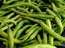 green-beans-1